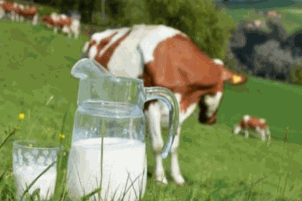 歌亨法国牛初乳