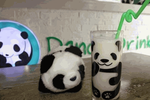 熊猫饮品加盟店
