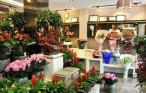 鲜花店特许经营全国加盟店
